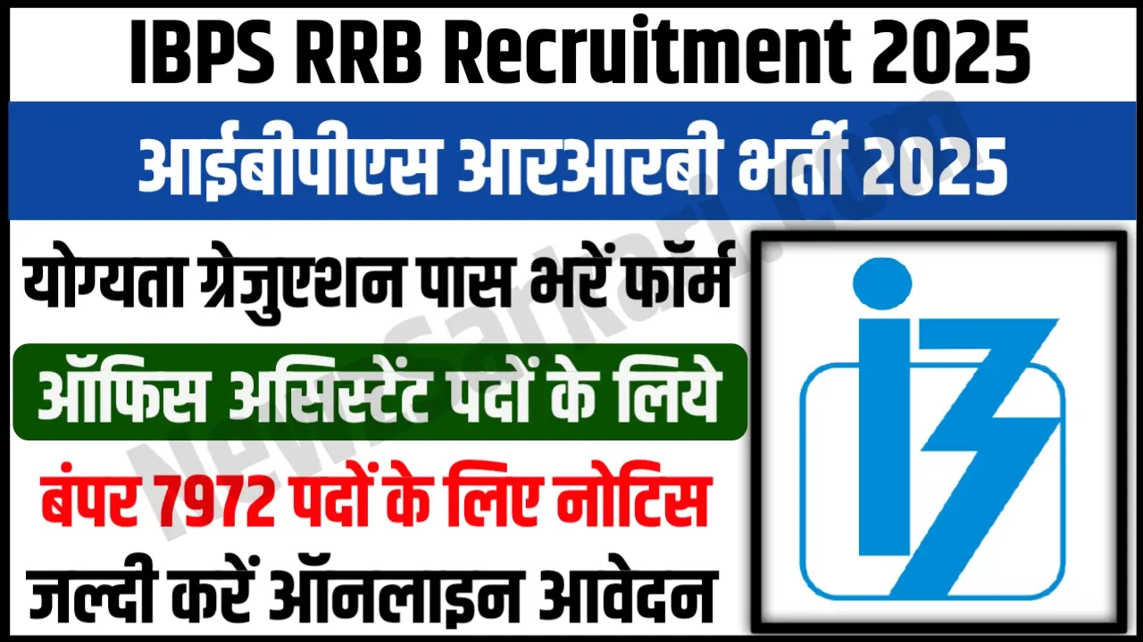 IBPS RRB Office Assistant Recruitment 2025 Notification Out 7972 Vacancies, Apply Online Soon, Check Eligibility & Exam Date